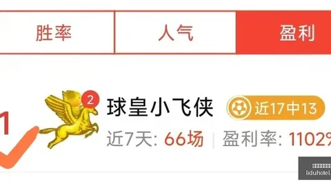 弗鲁米嫩塞与普拉滕斯竞技裁判报告：20场比赛统计，黄牌108、红牌9、点球3次深度解析